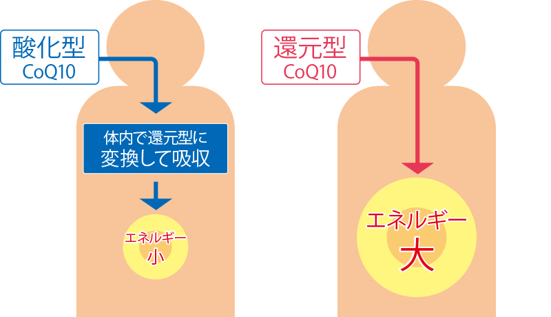 “還元型”がポイント