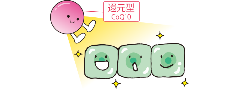 ①エネルギーを作る