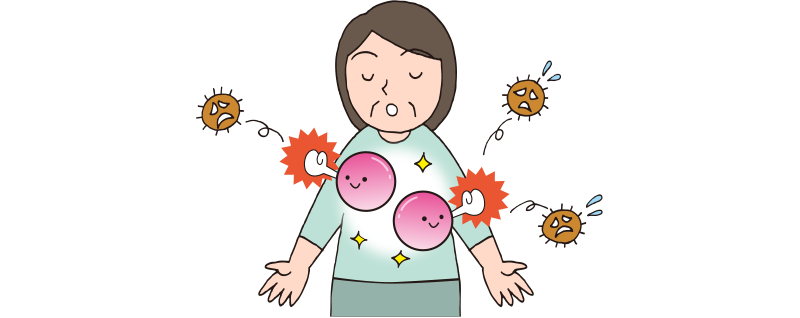 ②活性酸素によるサビを防ぐ