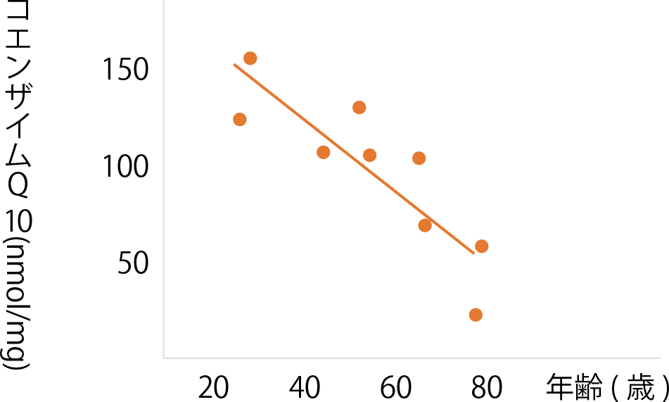 コエンザイムQ10は年齢とともに減少