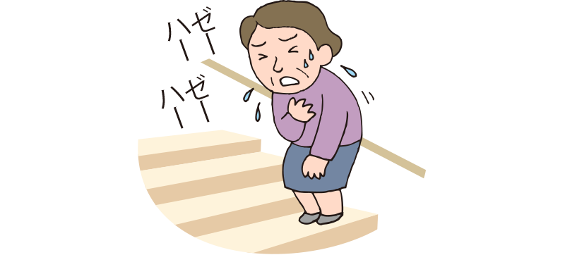 循環機能の老化