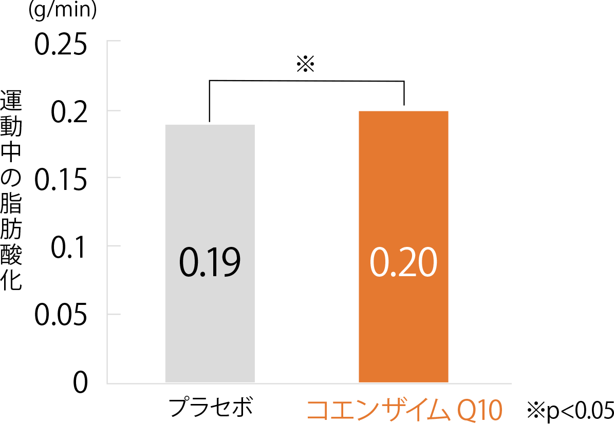 軽度運動中の脂肪燃焼を増加