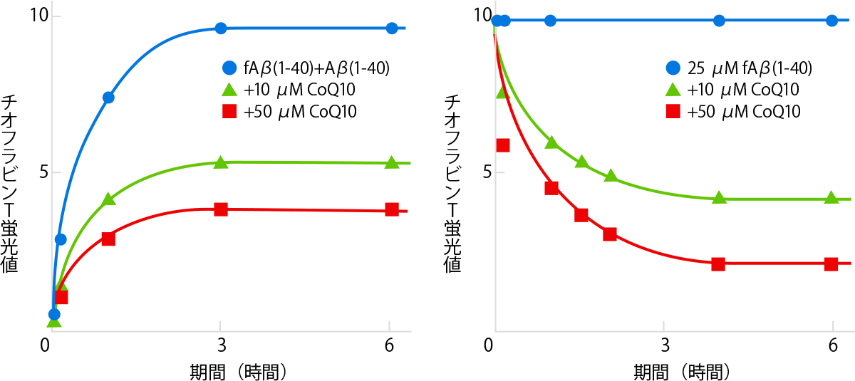 認知機能に対する効果