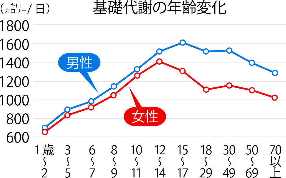 若い頃より太りやすくなる？