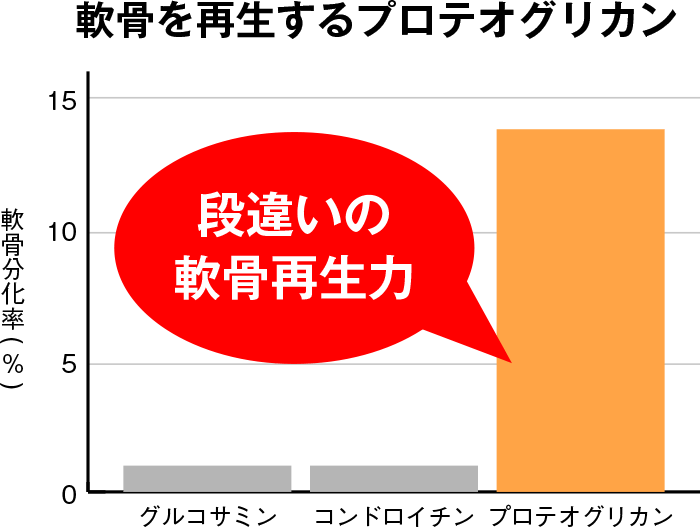 プロテオグリカン