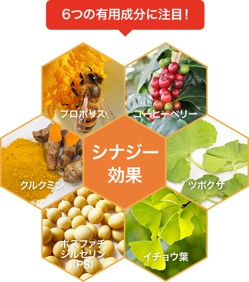 天然素材“デール６”