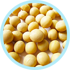 ホスファチジルセリン