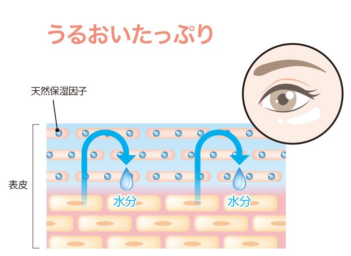 10代後半～20代前半の肌