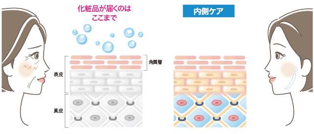 天然保湿因子現象イメージ