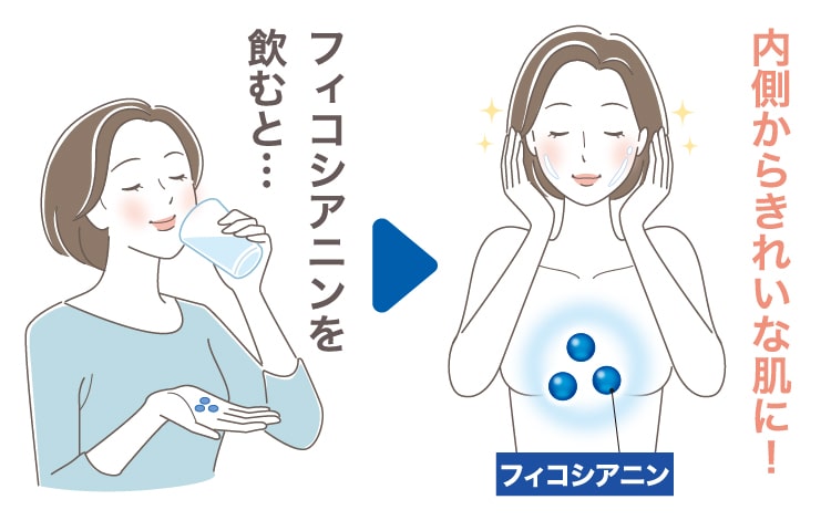 光老化の救世主フィコエル