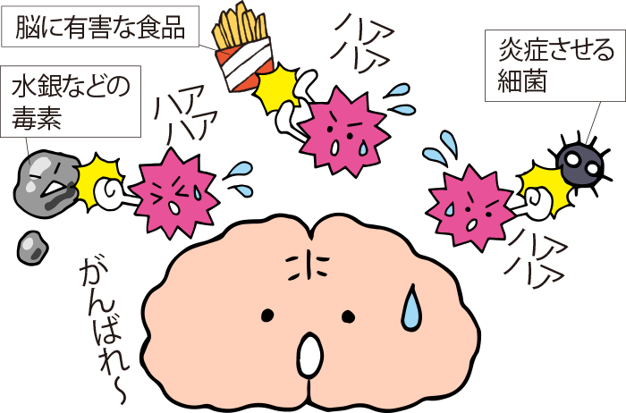 アミロイドβ脳を守るために奮闘している