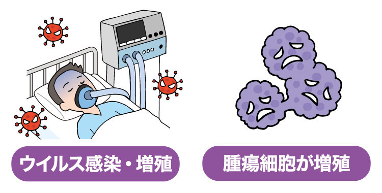 体内で病原体が大増殖