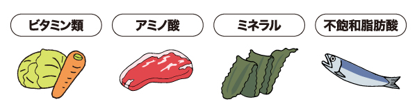 ビタミン類、アミノ酸、ミネラル、不飽和脂肪酸