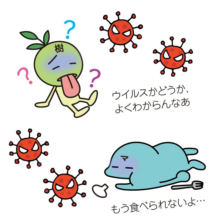 樹状細胞とマクロファージに元気がないと