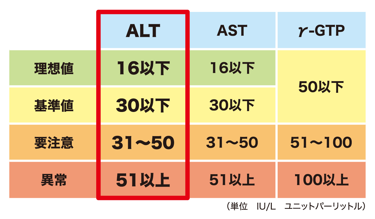 肝臓の状態を表す数値2