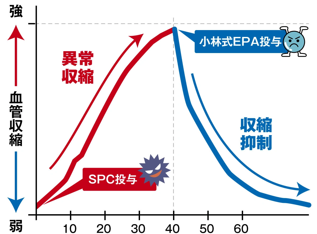 SPCによる血管の異常収縮を小林式EPAが抑制する