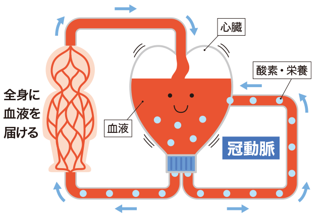 全身に血液を届ける