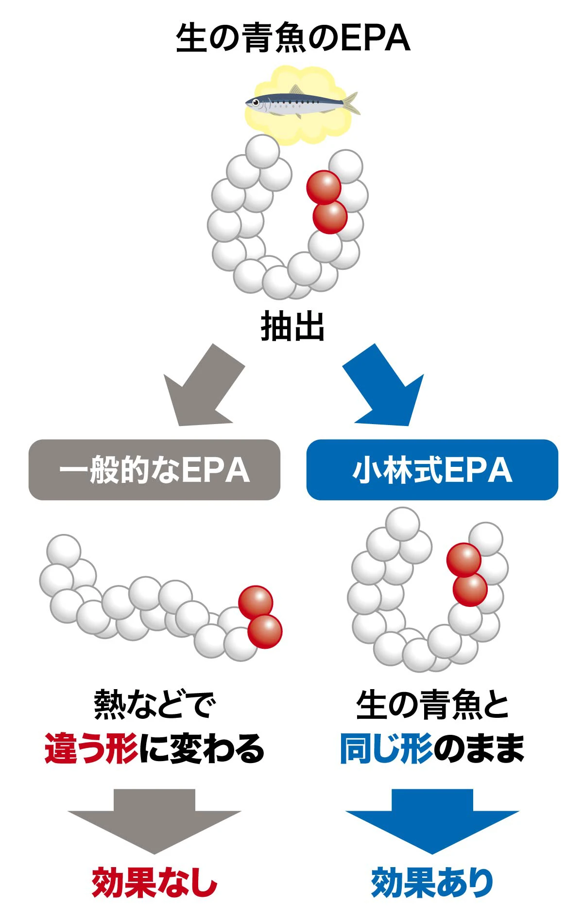 「小林式EPA」とは?